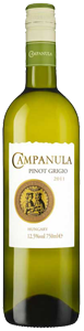 Campanula Pinot Grigio