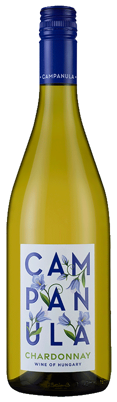 Campanula Chardonnay 2021