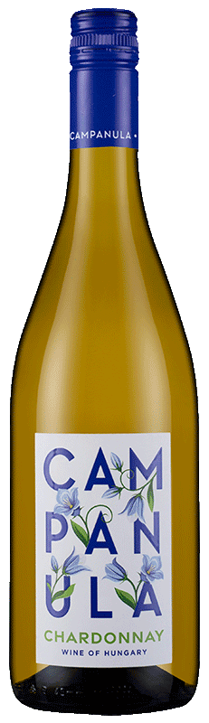 Campanula Chardonnay 2023