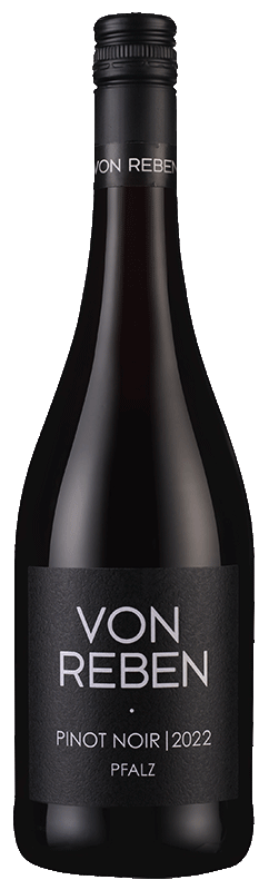 Von Reben Pinot Noir Pfalz 2022