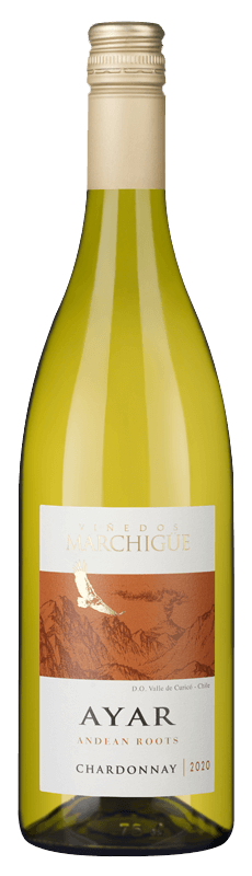 Ayar Chardonnay 2020 | Product Details | Laithwaites Wine