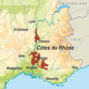 Domaine Saint Michel Côtes du Rhône 2019 | Product Details | The Sunday  Times Wine Club