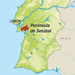 Map showing Vinho Regional Península de Setúbal